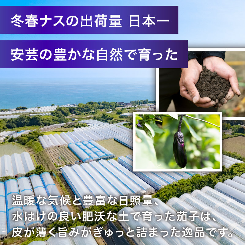 農家直送!高知県安芸市産　朝採れナス　3kg