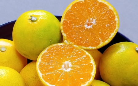 みかん 由良早生みかん 約3kg【2026年11月上旬頃～11月中旬頃に順次発送】【nkmr0019】