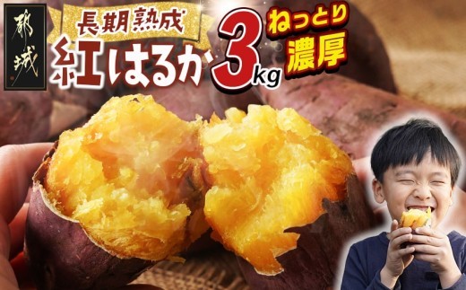 
                  都城産 長期熟成紅はるか 3kg〔LE-I2-001-3kg〕_(都城市) 都城産さつまいも 熟成紅はるか 3kg 長期熟成 スイーツ
                