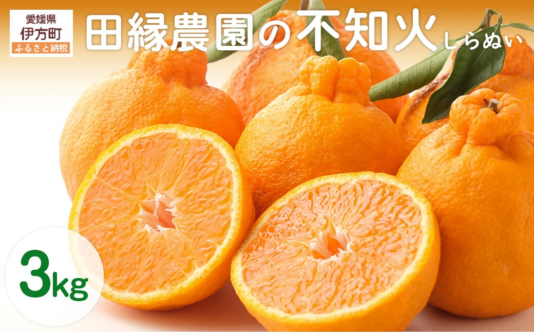 
                  【先行予約】【数量限定】田縁農園の不知火（しらぬい）3kg ※離島への配送不可 （2027年2月10日より順次発送） 【 ふるさと納税 人気 おすすめ ランキング みかん ミカン 蜜柑 不知火 しらぬい フルーツ 果物 愛媛県産 田縁農園 愛媛県 伊方町 送料無料 】 IKTA018
                