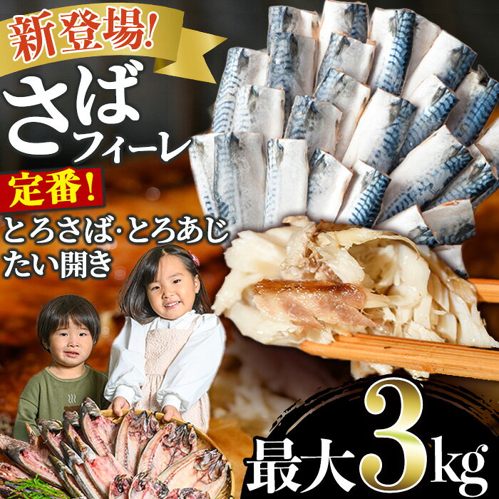 とろさば＆とろあじ開き限定セット(合計16枚・各8枚・1匹150g～200g程度)