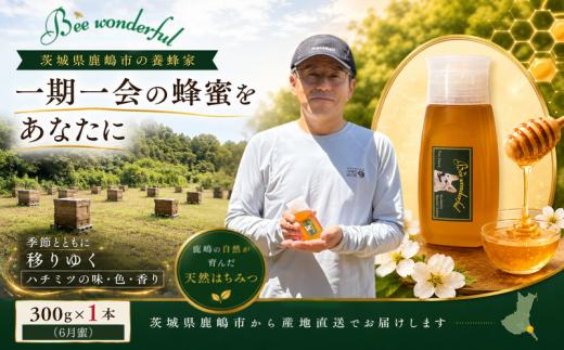 はちみつ 百花蜜 養蜂 自家採蜜 非加熱 無添加 蜂蜜 産地直送 300g×1個 贈答用 贈答 ハニー 国産 プレゼント 一期一会 6月蜜 ギフト 栄養 自然のめぐみ 日常使い ふるさと納税 茨城県 鹿嶋市