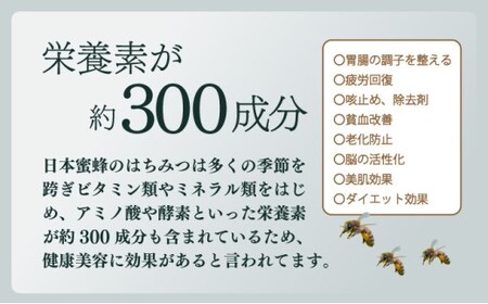 サポートも致します「日本蜜蜂養蜂スターターキット」_K017-004