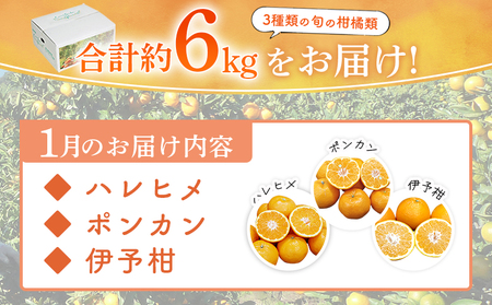 ＜1月発送！旬の柑橘 詰め合わせセット 3種×各2kg＞ 果物 フルーツ みかん ミカン 蜜柑 柑橘 オレンジ ブラッドオレンジ なつみ はるか ネーブル ポンカン 甘夏 特産品 宇都宮物産 愛媛県 