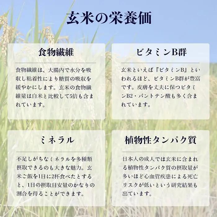 【令和7年産・真空パック・低農薬栽培】 あさひかわ産 ななつぼし玄米 2kg×3袋 | ななつぼし_03126