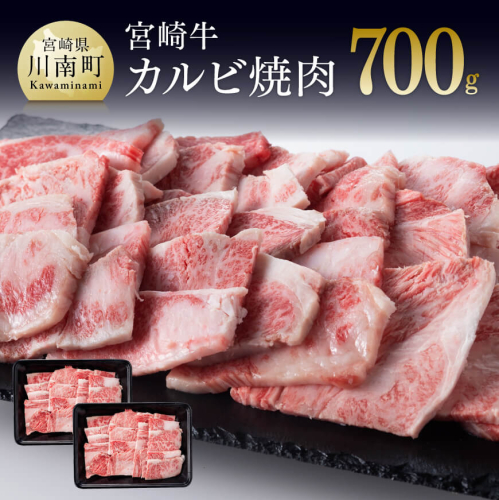 《発送月が選べる》宮崎牛カルビ焼肉 700g (350g×2) 選べる発送月【肉 牛肉 黒毛和牛 肉質等級4等級以上 5等級 A4ランク A5ランク 精肉】 宮崎県川南町