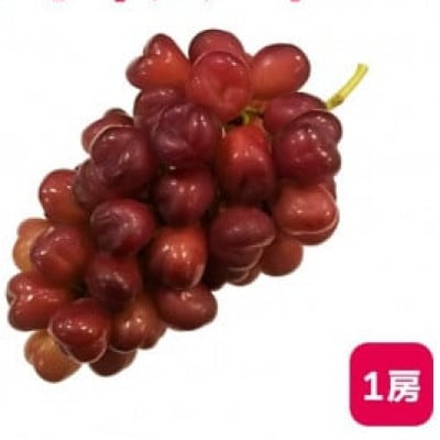 【2025年9月上旬より発送予定】マイハート1房 500g以上 ハート形のかわいい葡萄【配送不可地域：離島】