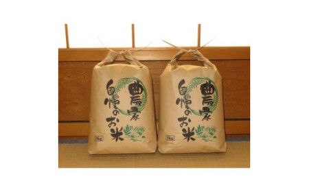 米 キヌヒカリ 5kg ×2袋 計 10kg (2025年産) 和歌山 県産 / お米 ごはん こめ 単一米 単一原料米 銘柄米 令和7年産 【hsk400-kinu-10B】