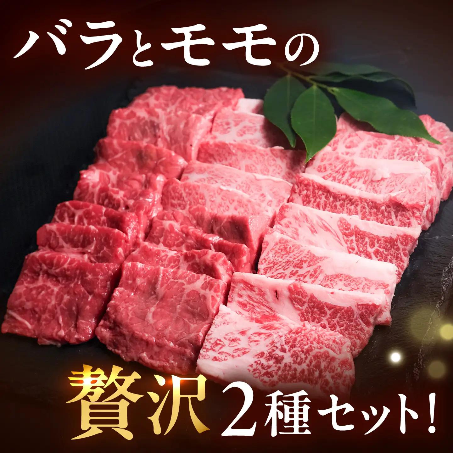 【全6回定期便】博多和牛 牛肉 焼肉 バラ モモ 500g 吉富町/肉のくまもと屋[BGBY062]
