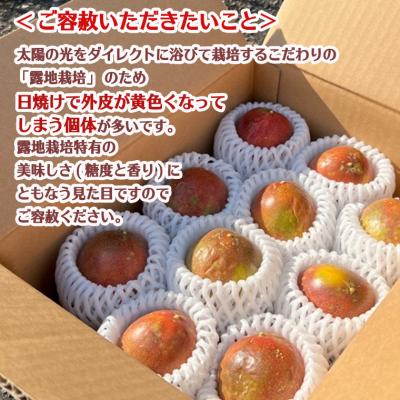 ふるさと納税 関市 数量限定 糖度18度 パッションフルーツ果実 10個入り【7月下旬〜10月下旬に順次発送】 |  | 03