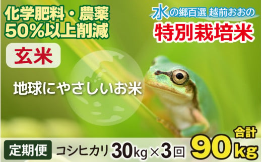 【令和6年産 新米】【3ヶ月定期便】こしひかり 30kg × 3回 計 90kg【玄米】減農薬・減化学肥料 「特別栽培米」－地球にやさしいお米－