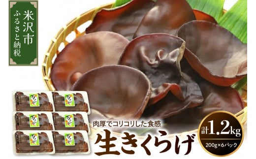 【 期間限定 】 生きくらげ 計 1.2kg （ 200g × 6パック ）〔 2025年 6月 ～ 10月 中旬頃お届け 〕 米沢産 無農薬栽培 きくらげ きのこ 冷蔵