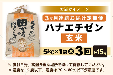 【先行予約】【令和8年産・新米】定期便 ≪3ヶ月連続お届け≫ ハナエチゼン5kg×3回 計15kg ～本原農園からまごころコメて～（玄米）【2026年9月上旬以降順次発送予定】 [C-8912]