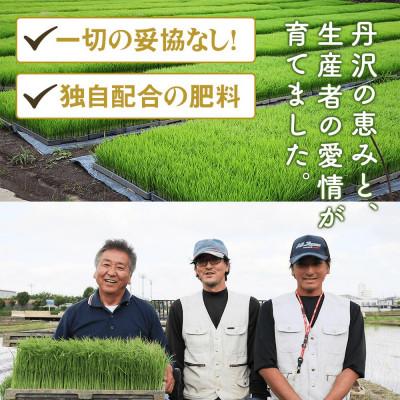 ふるさと納税 伊勢原市 新米 [令和7年産] 伊勢原産 精米 5kg はるみ 農家直送!亀井さんちのうんめぇ米 |  | 01