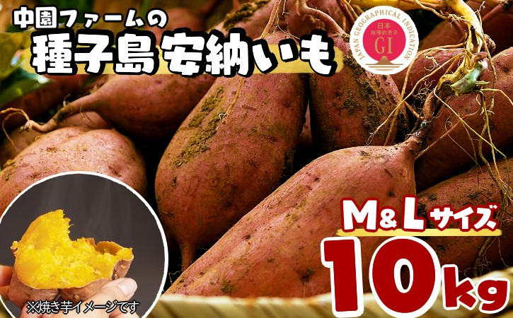 
                  中園ファーム 種子島 安納いも ( 生芋 ) M,Lサイズ 10kg　NFN456【550pt】 // 安納芋 安納いも発祥の地 本場・安納地域産 糖度 熟成期間 G.I 保護制度 ブランド 金賞 生いも 芋 いも さつまいも
                