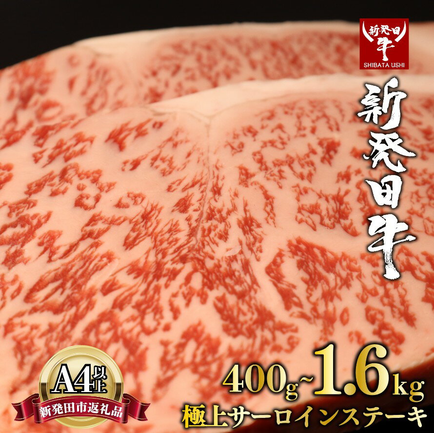 【ふるさと納税】 サーロイン ステーキ 牛肉 400g 800g 1.6kg にいがた和牛 和牛 国産牛 赤身 焼肉 ふるさと納税 和牛 BBQ キャンプ ブランド牛 特選 贅沢 厳選和牛 ギフト 贈答 お歳暮 新潟県 新潟 新発田市 新発田 えのもとミート 母の日 enomoto010 enomoto011 enomoto012