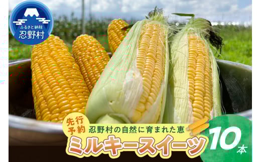 【2025年先行予約】忍野村産とうもろこし（ミルキースイーツ）