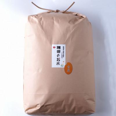 ふるさと納税 上越市 雪むろ棚田米コシヒカリ 20kg 玄米 |  | 01