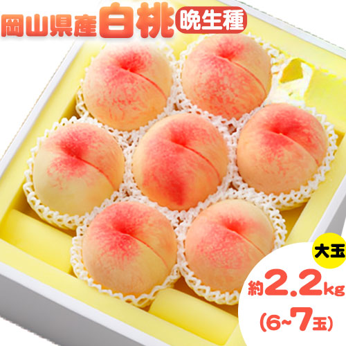 【令和7年度先行予約】 岡山県産 白桃 晩生種 大玉 約2.2kg 6〜7玉 晴れの国 おかやま館 漂流岡山 《2025年7月下旬〜9月下旬頃出荷》岡山県 浅口市 フルーツ モモ 果物 青果 旬【配送不可地域あり】