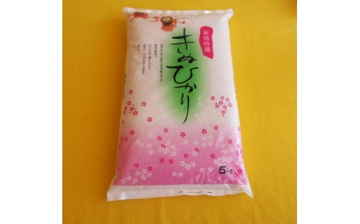 ［先行受付］和歌山県産キヌヒカリ 5kg（2024年産）［SL27］
