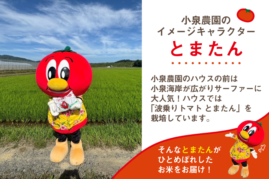 6回 定期便 米 宮城県産 とまたんのひとめぼれ 5kg 総計30kg [サンフレッシュ小泉農園 宮城県 気仙沼市 20566085] ひとめぼれ ブランド米 白米 精米 ご飯 ごはん コメ こめ お