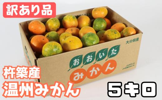 
            【訳あり品】杵築産 温州みかん 5kg ／ ミカン みかん 蜜柑 柑橘類 訳あり 5kg 12月 1月 温州みかん フルーツ ＜132-016_6＞
          