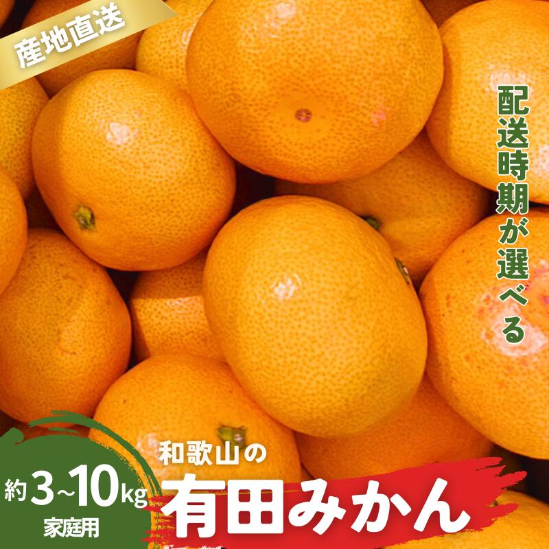 【ふるさと納税】 ＼配送月が選べる！／ 家庭用 有田みかん 和歌山 訳あり わけあり S〜Lサイズ 大きさお任せ 3kg〜10kg / みかん フルーツ 果物 くだもの 温州みかん 蜜柑 柑橘 和歌山 古座川町 おまかせ サイズいろいろ