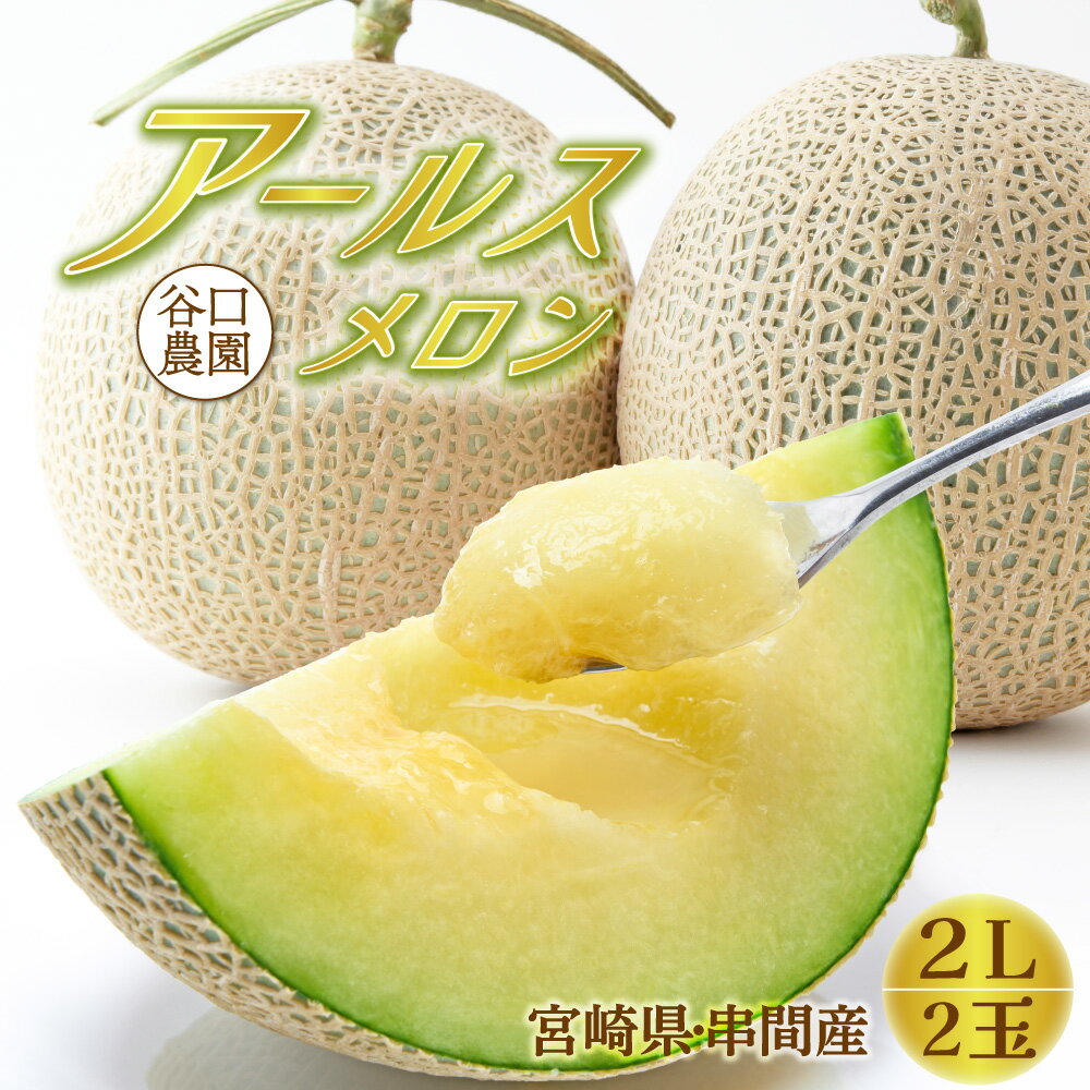 【ふるさと納税】＜先行予約・数量限定＞串間産アールスメロン2L2玉（計3kg以上）【谷口農園】【TNM2L】