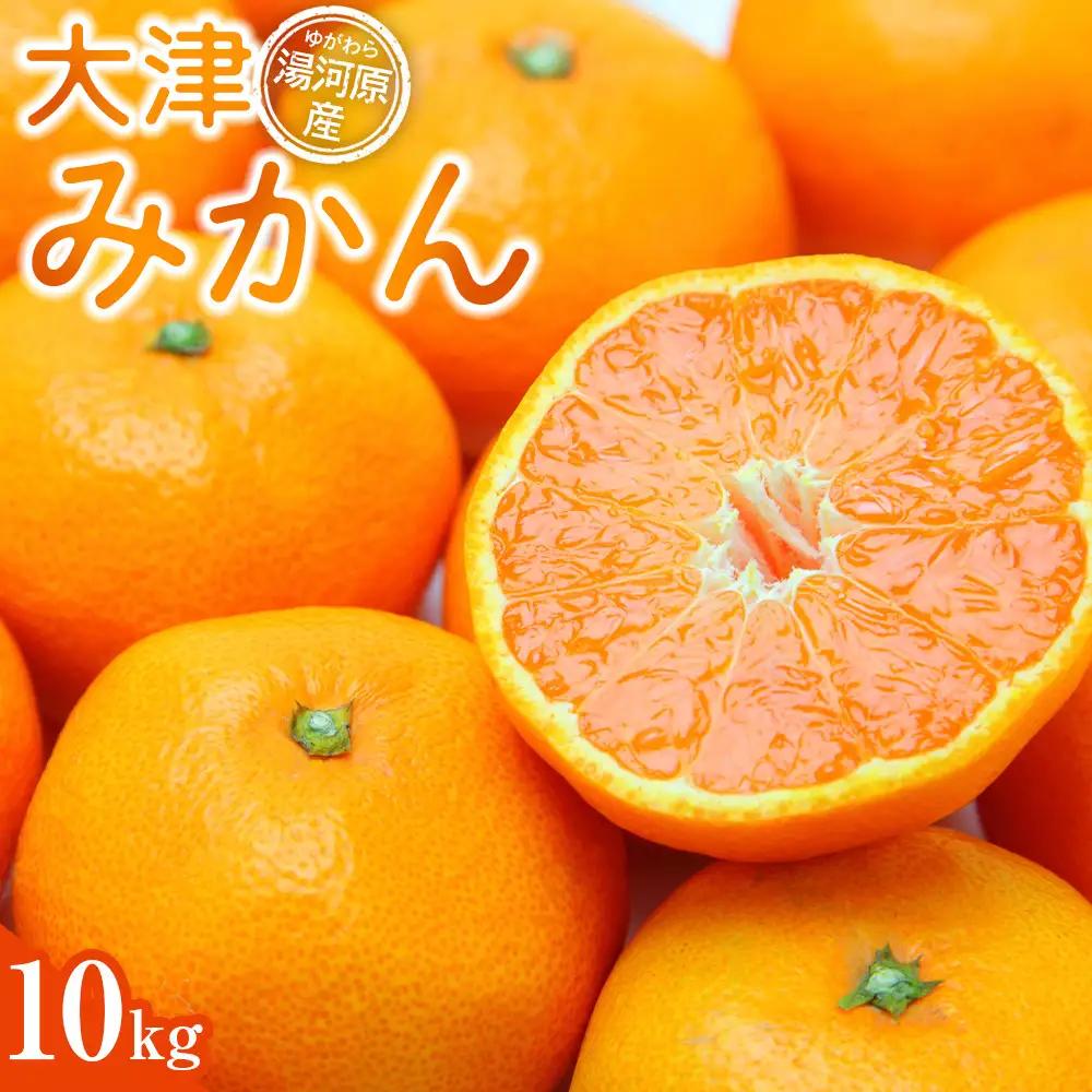 大津みかん10kg | 湯河原町 湯河原発祥 みかん 柑橘 旬 大津4号 10kg フルーツ