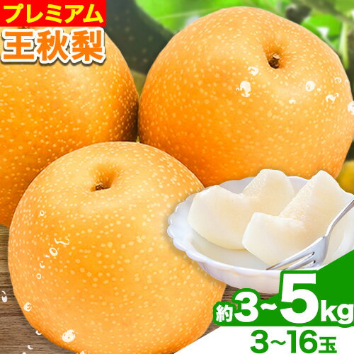 【ふるさと納税】【先行予約】プレミアム 王秋梨 選べる 約3kg (3~10玉) 約4kg (4~13玉) 約5kg (5~16玉) 高間商店《10月下旬-1月中旬頃出荷》鳥取県 八頭町 梨なし ナシ 果物 フルーツ 厳選　先行予約　ふるさと納税　返礼品　国産　高間商店　　甘い　王秋梨　高糖度