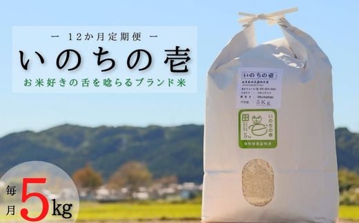 ≪令和6年産≫ 新米 【12か月定期便】 【特別栽培米】 垂井町産 いのちの壱 (5kg×12回）