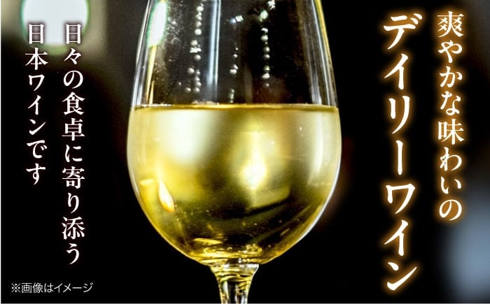 ワイン 3本 わいん 赤 白 ぶどう Wine 白ワイン 赤ワイン ワインセット