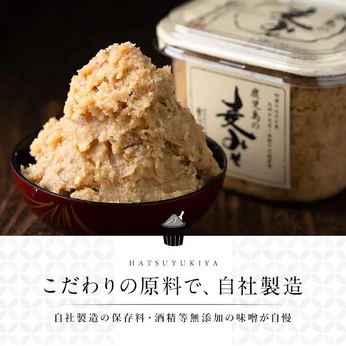 鹿児島 麦みそ 500g カップ 6個 計3kg 保存料・酒精等無添加 減塩 甘口 味噌 国産 味噌 調味料 【はつゆき屋】No.531 