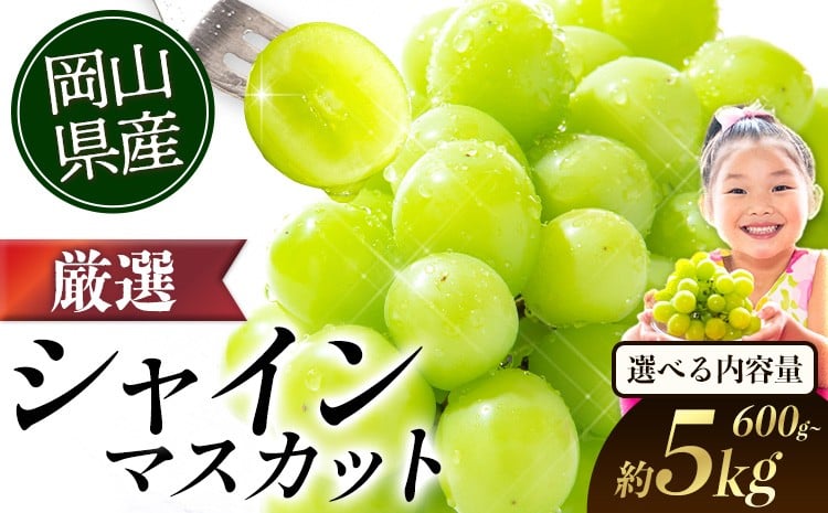 
                  シャインマスカット【2026年出荷先行予約】 厳選 シャインマスカット  選べる 約600g 約1.3kg 約2kg 約3kg 約5kg 約1.3kg×2ヶ月定期便《2026年9月上旬-11月中旬頃に出荷予定》ぶどう 種なし ぶどう 岡山 ぶどう 先行予約 ぶどう シャインマスカット 大粒 シャインマスカット 晴王 シャインマスカット 岡山 シャインマスカット ぶどう
                