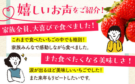【先行予約】【農薬0への挑戦】【年末発送】王様のいちごさがほのか400g×2箱【むらおか農園】HAF029 いちごいちごいちごいちごいちご