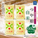 【ふるさと納税】令和6年産 真室川町 つや姫 ［白米］ 60kg 定期便（20kg×3回お届け）