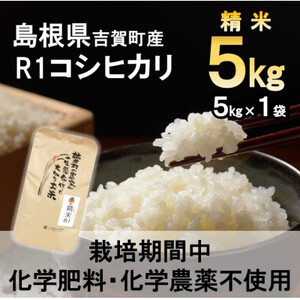 【栽培期間中化学肥料・化学農薬不使用】令和7年産R1米コシヒカリ5kg(精米)【1448692】