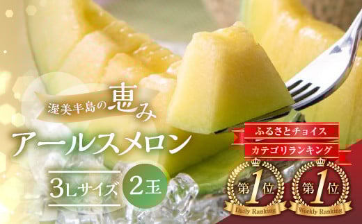 【7月中お届け】【先行予約】メロン 3L × 2玉  日研農園 ／ アールスメロン めろん 先行予約 フルーツ 果物 メロン 青肉メロン 旬 夏 厳選 高級 人気 デザート  メロン ゼリー 贈答用 贈答品 贈答 メロン パン 産直 産地直送 ギフト プレゼント 贈り物 愛知県 特産品 産地直送 田原市 渥美半島 12000円 7月 8月 9月