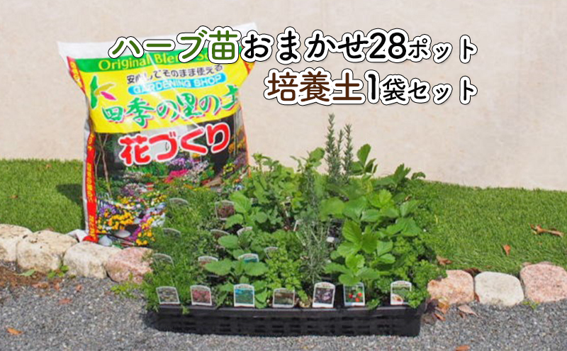 【9月30日をもって寄附受付終了】ハーブ苗 28ポット 培養土 20L 1袋 セット ガーデニング 植物 インテリア ガーデニングショップ四季の里 