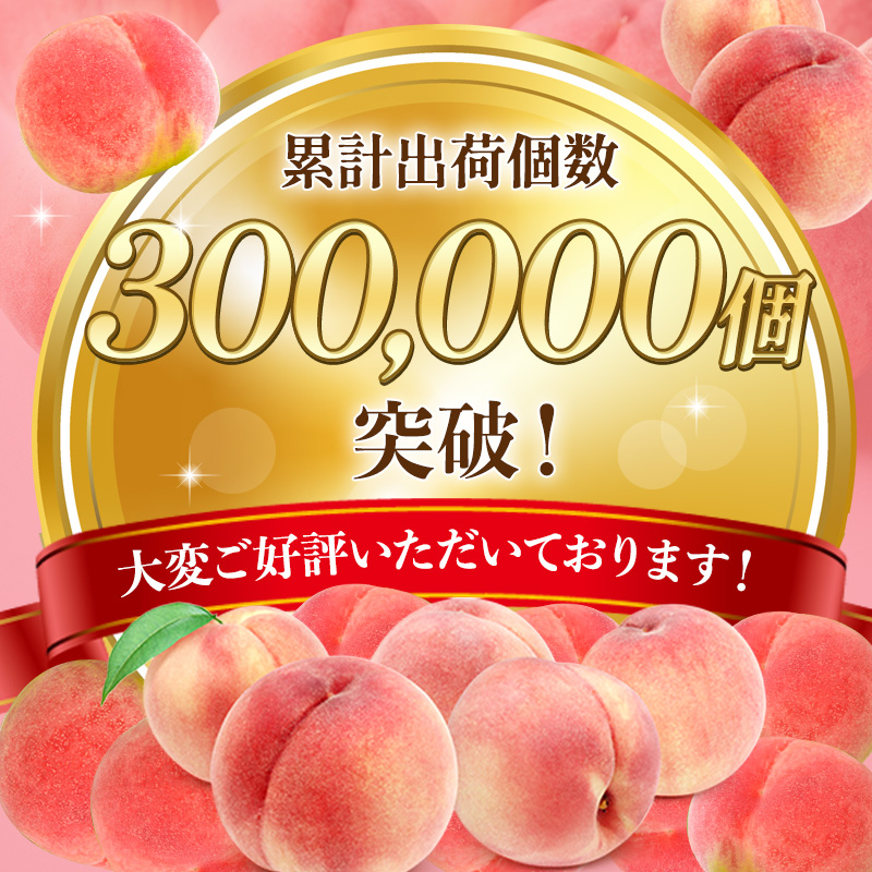 【オンライン決済限定】【2026年8月上旬～発送予定】 先行