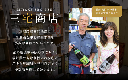 【早瀬浦】純米吟醸 山田錦 720ml × 1本【日本酒 地酒 福井 美浜 早瀬 フルーティ 男酒 硬水 ミネラル 希少 ご褒美 家飲み】[m16-a004]