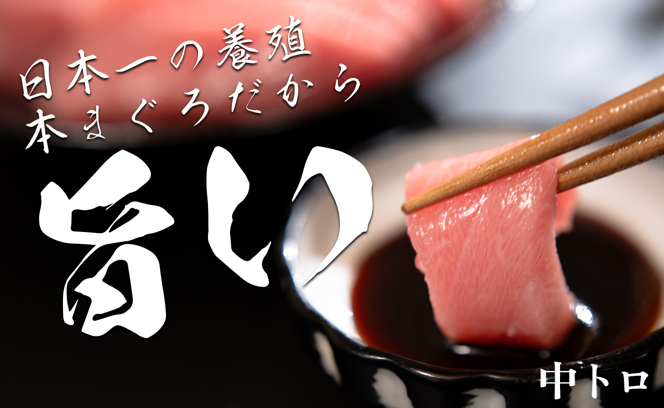 訳あり まぐろ マグロ 本鮪 黒潮本まぐろ 中トロ 定期便 3回 300g × 3回 刺身 さしみ 最優秀賞 全国養殖クロマグロ品評会 受賞 魚 魚介類 海鮮 柵 サク 冷凍 お取り寄せ 産地直送 ギ