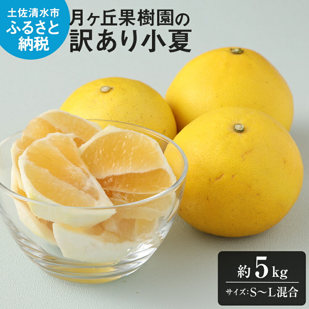 【ふるさと納税】R8年4月発送 小夏 訳あり 月ヶ丘果樹園の訳あり小夏5kg 家庭用柑橘 日向夏 みかん フルーツ 特産果物 こなつ 日向 夏 蜜柑 ミカン オレンジ くだもの 果実 フルーツ 柑橘 果汁 爽やか さわやか 故郷納税 高知県 土佐清水市 送料無料 高知【R00177】