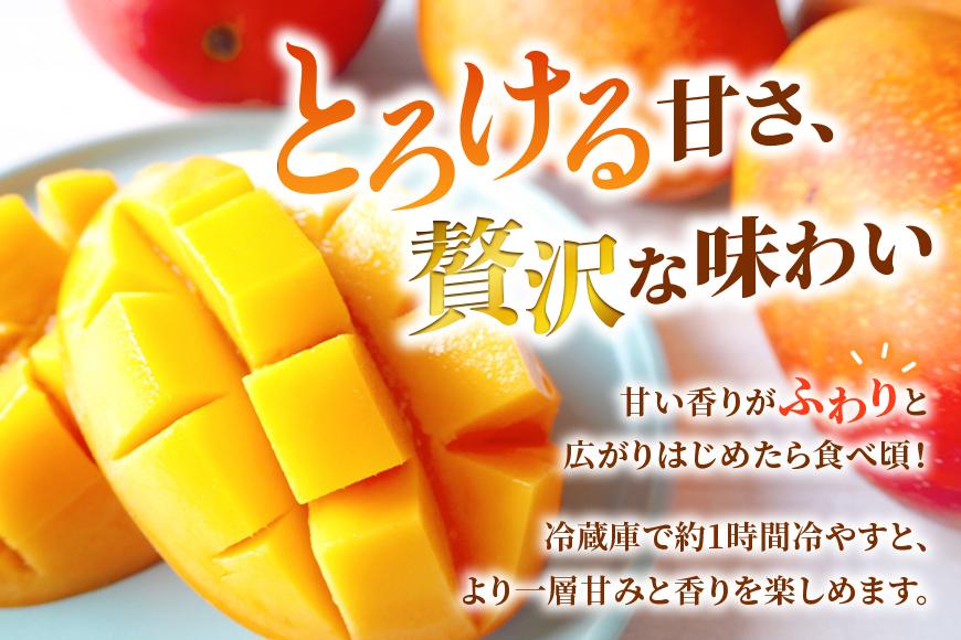 【家庭用】宮古島産マンゴー1kg ＜リトルグローブ＞（LT003）