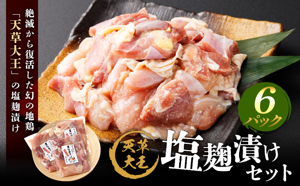 
            天草大王 塩麹漬け 6セット 200g×6パック 合計1.2kg 肉 お肉 鶏肉 地鶏 塩麹 麹 冷凍 熊本県産
          