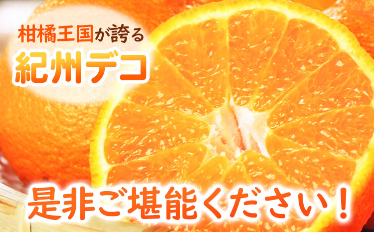 【先行予約】果肉プリプリ 完熟紀州デコ(不知火)  選べる 約5kg 果肉 デコ 魚鶴商店《2月下旬-3月中旬頃よりに発送予定》紀州デコ 和歌山県 日高町 贈り物 ギフト 不知火 デコポン と同品種(
