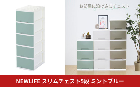 NEWLIFE スリム5段 ミントブルー 収納ケース 衣装ケース プラスチック 新生活 引っ越し 大容量 引き出し プラスチック 収納棚 おしゃれ 押入れ 押し入れ収納 リビング収納 【010S627】