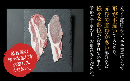 《定期便》全6回 結旨豚 ウデ又はモモ 切り落とし 500g×2パック 冷凍真空パック | 肉 お肉 豚肉 国産 食べ比べ セット 白川郷 岐阜県 白川村 ブランド豚 人気 おすすめ ギフト 飛騨高山