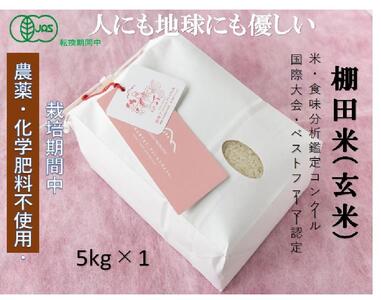 【2025年産新米】魚沼産コシヒカリ 苗場プリンセス・プレミアム 玄米 有機jaS認証米 玄米（5kg）×1