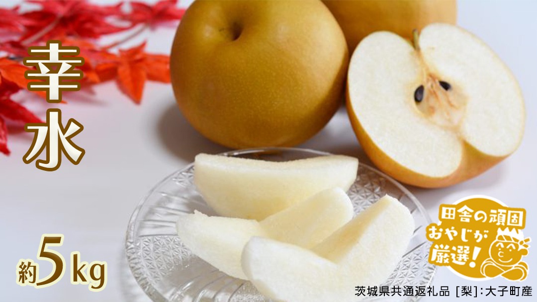 梨 幸水 約 5kg 【2026年8月より発送開始】（茨城県共通返礼品 [梨]：大子町産）